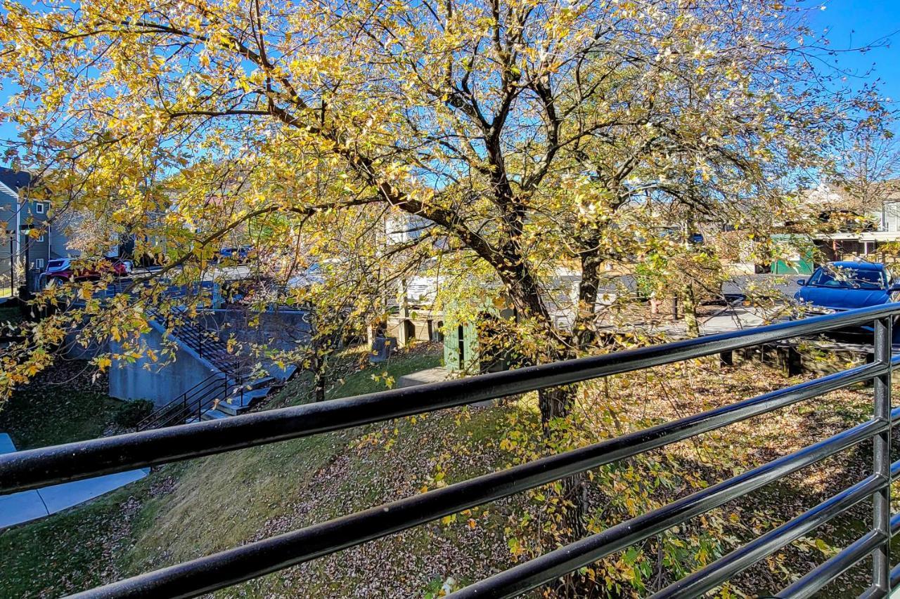 Summit View Condos ガトリンバーグ エクステリア 写真